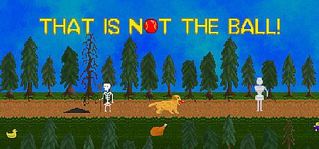 That is not the ball! Game