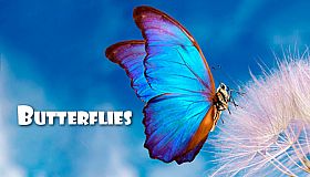 Master of Pieces Butterflies DLC