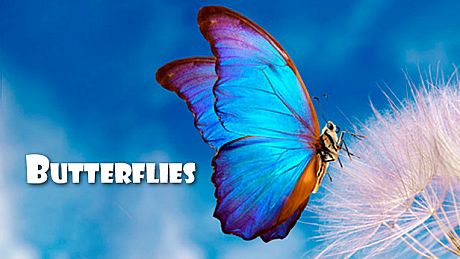 Master of Pieces Butterflies DLC DLC