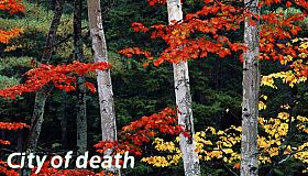 City of death
