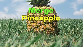 Merge  Pineapple