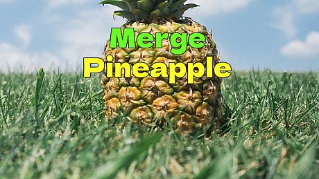 Merge  Pineapple Game