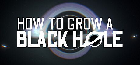How To Grow a Black Hole