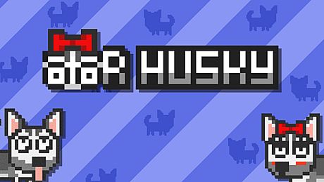 Mr Husky Game