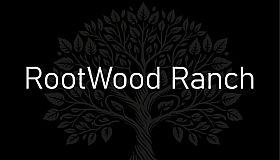 C.A.S.H. - Commerce And Stealthy Heists