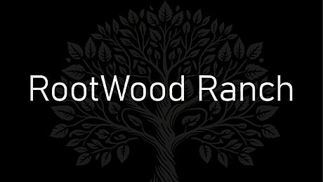 C.A.S.H. - Commerce And Stealthy Heists Game