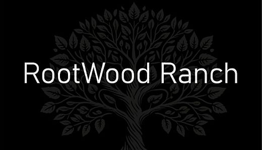 C.A.S.H. - Commerce And Stealthy Heists