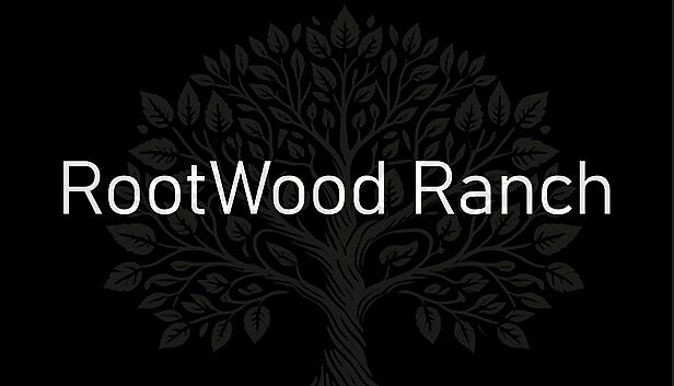 Buy C.A.S.H. - Commerce And Stealthy Heists