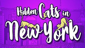 Hidden Cats in New York