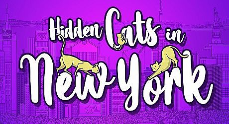 Hidden Cats in New York Game