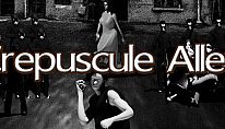Crepuscule Alley für PC kaufen