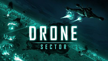 Drone Sector Game