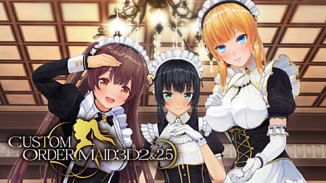 CUSTOM ORDER MAID 3D2&2.5 Motherly and Nurturing Woman GP-03 DLC