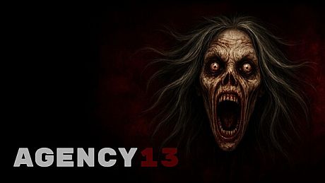 Agency 13 Game
