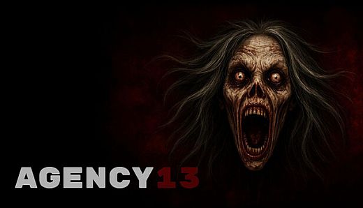 Agency 13