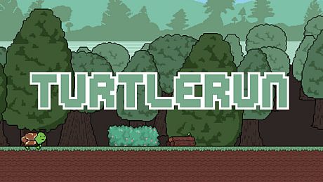 TurtleRun Game