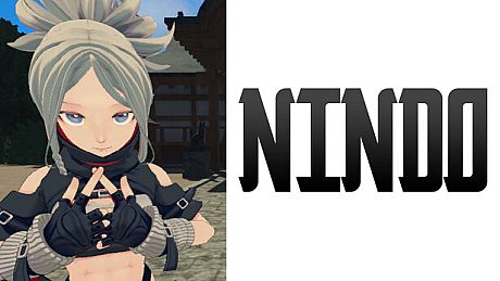 NINDO Game