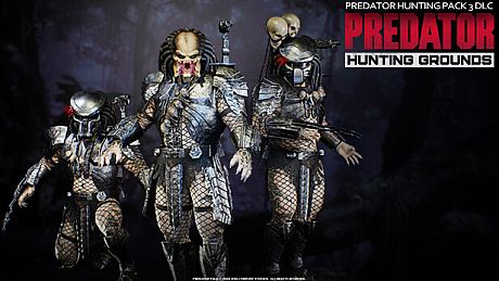 Predator: Hunting Grounds - Hunting Party DLC Bundle 3 DLC