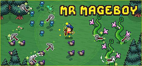 MR MAGEBOY Game