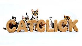 CatClick