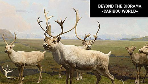 Beyond The Diorama: Caribou World