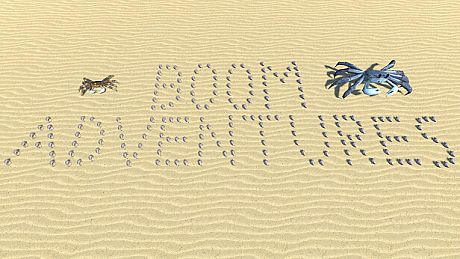 BOOM Adventures Game