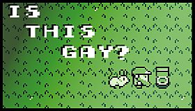 Is This Gay?