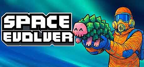 Space Evolver Game