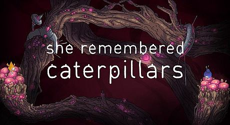 She Remembered Caterpillars Game