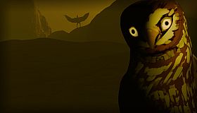 Birds Watching