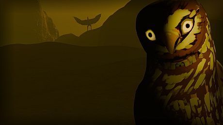 Birds Watching Game