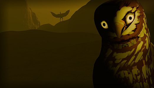 Birds Watching