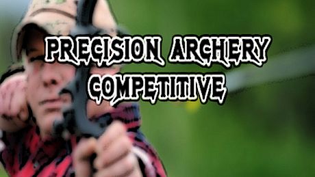 Precision Archery: Competitive