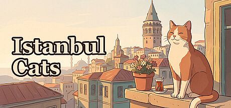 Istanbul Cats Game