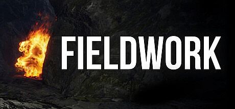 Fieldwork