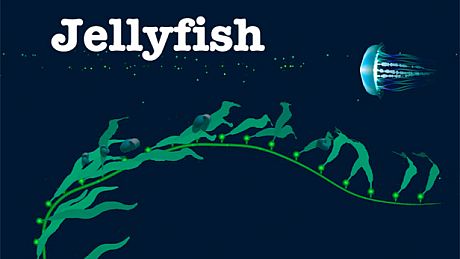 Jellyfish