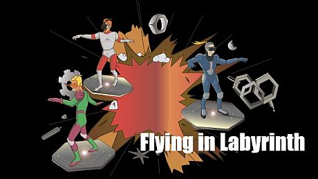 Flying in Labyrinth Game