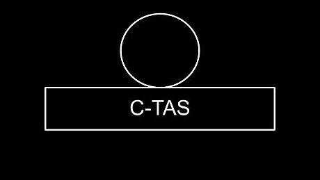 C-TAS: A Virtual Chinese Learning Game Game