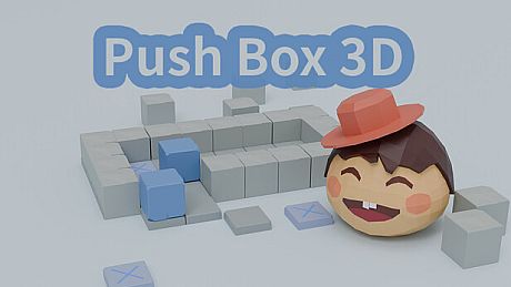 Push Box 3D Game