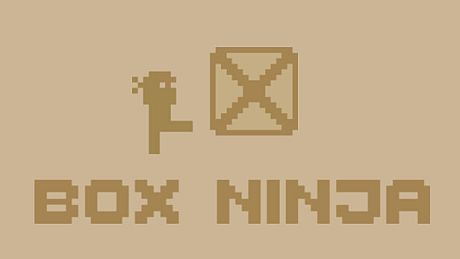 Box Ninja Game