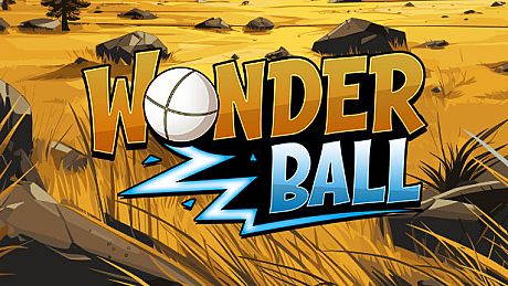 Wonder Ball Game