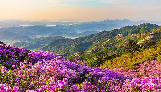 Just Find It 3 Collector's Edition