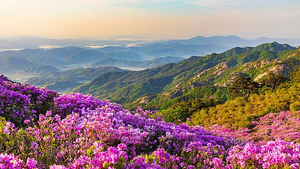 Buy Just Find It 3 Collector's Edition