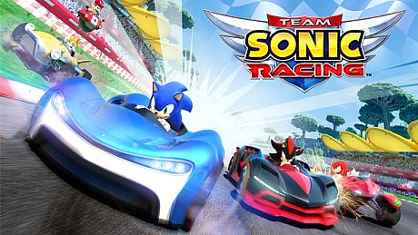 Team Sonic Racing Game