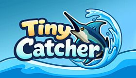 Tiny Catcher