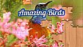 House of Jigsaw: Amazing Birds