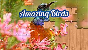 House of Jigsaw: Amazing Birds