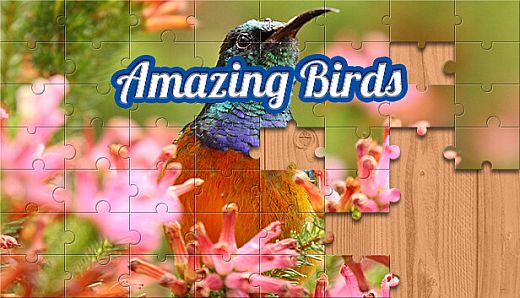 House of Jigsaw: Amazing Birds