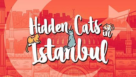 Hidden Cats in Istanbul Game