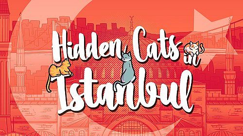 Hidden Cats in Istanbul